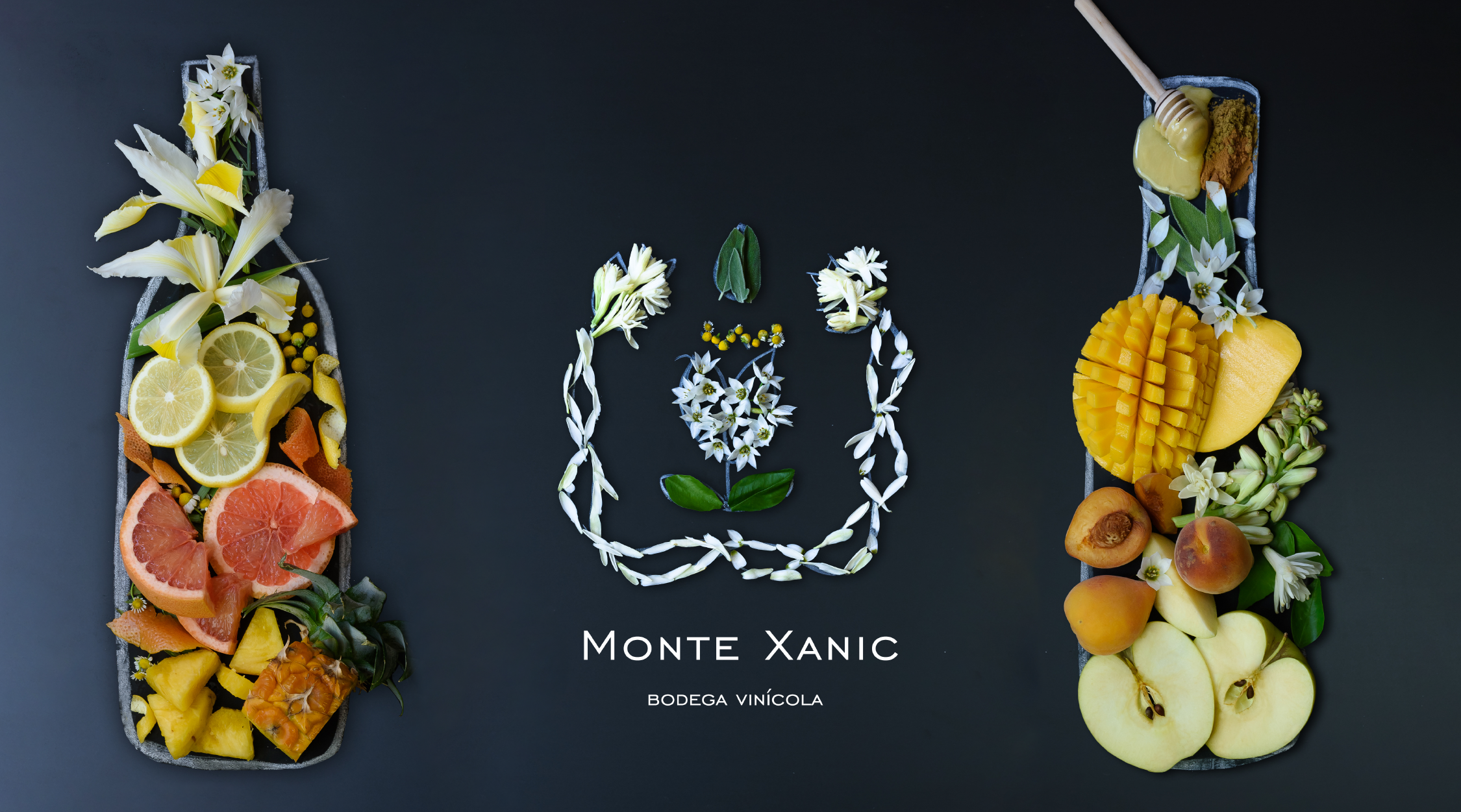 MX vinos veganos