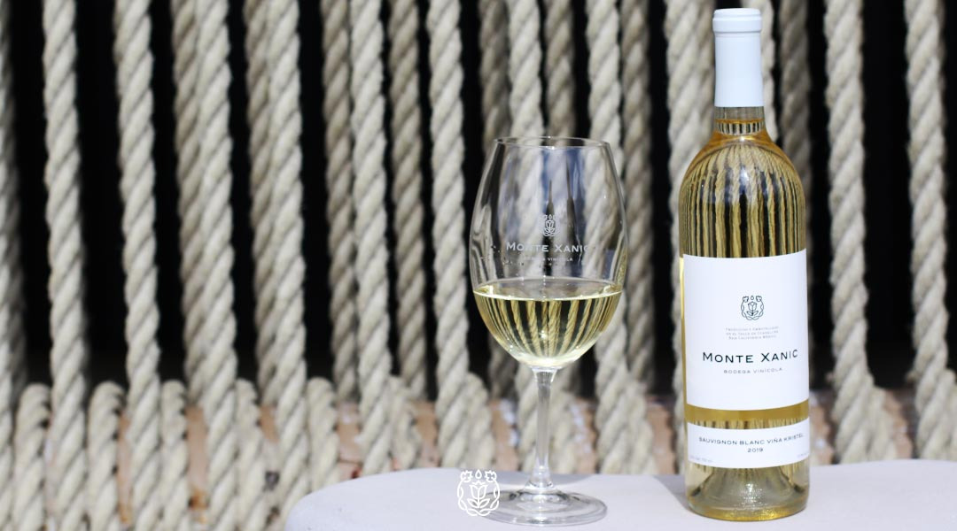 sauvignon blanc