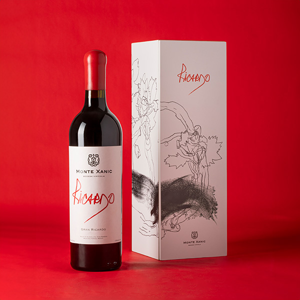 CAJA-ARTE_MAGALI-LARA