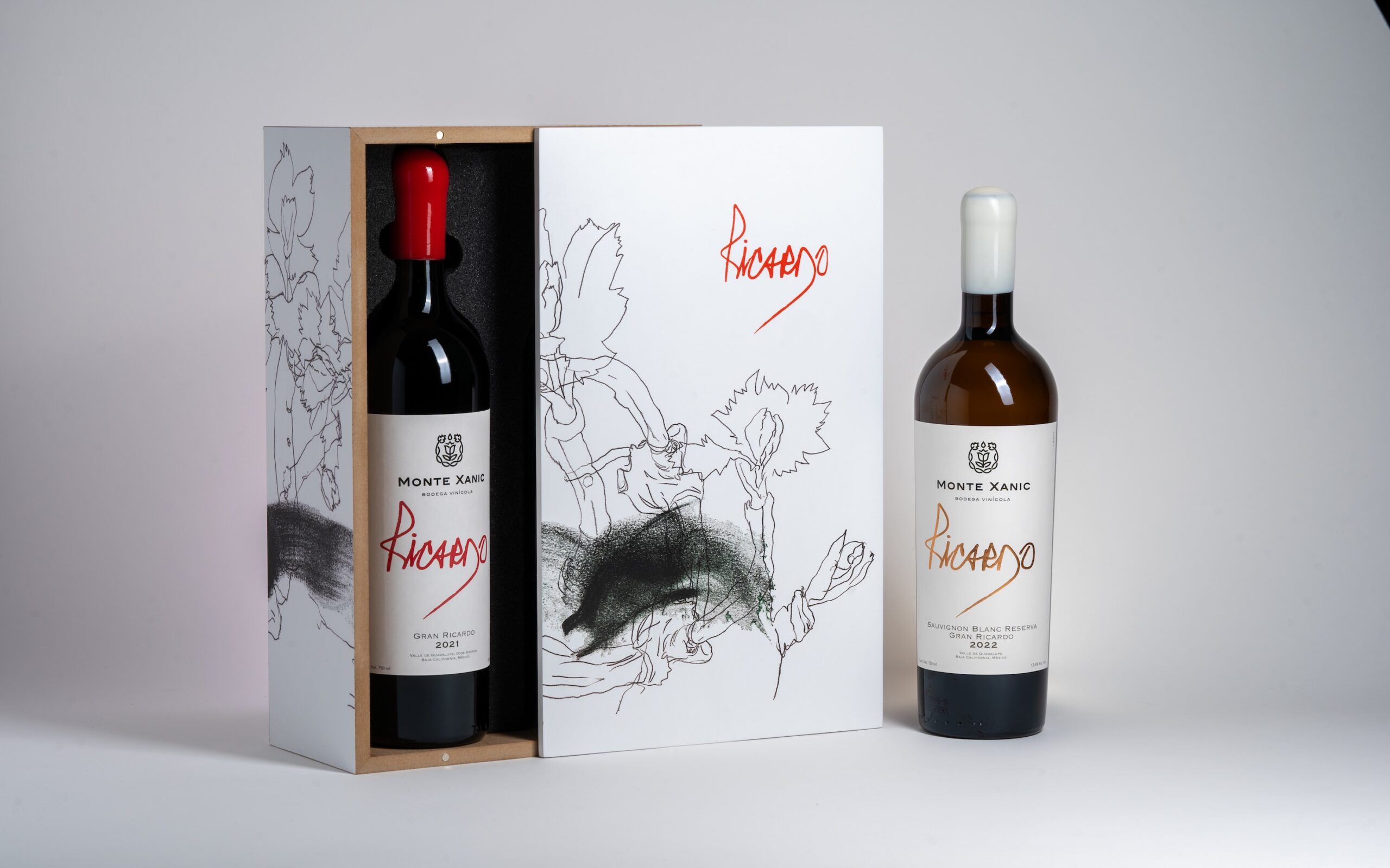 MX CAJA DE ARTE 2024-41